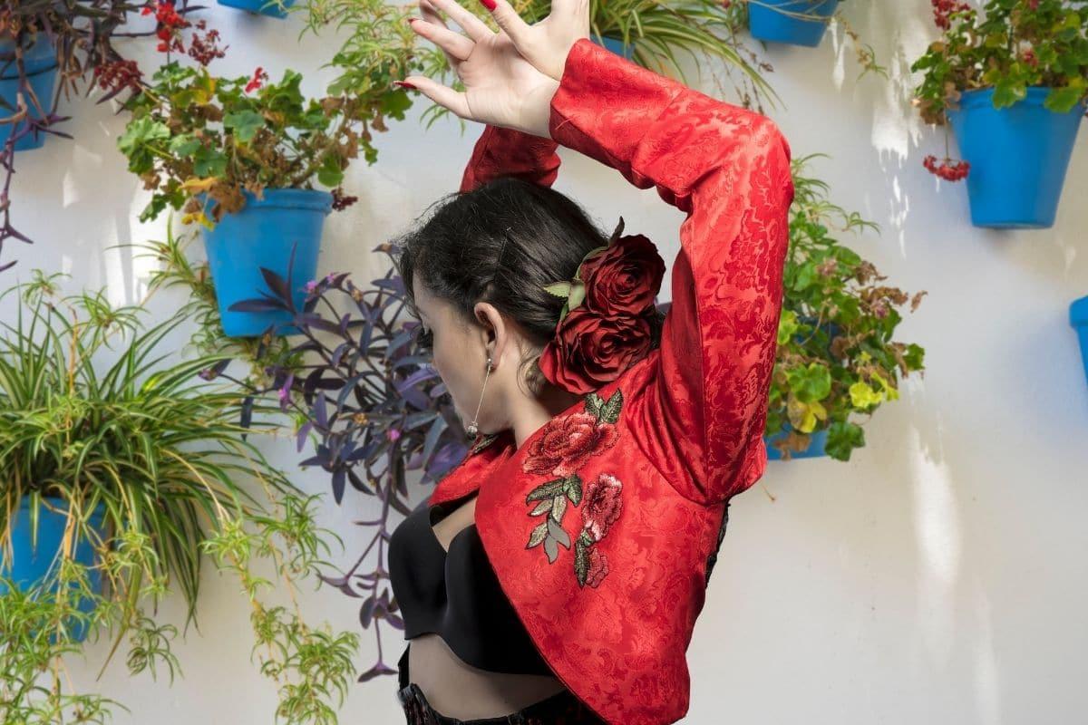 Pratiquer le Flamenco