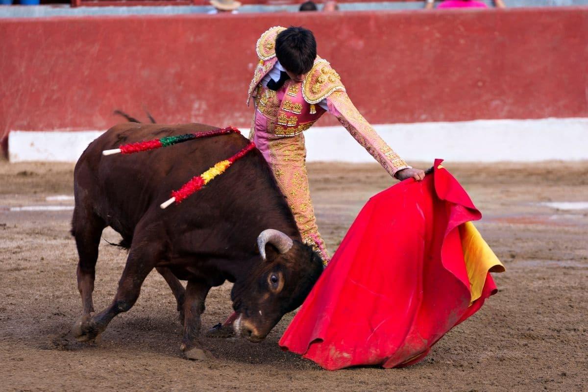 Les fameuses corridas