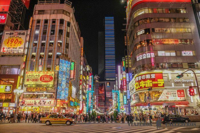 Shinjuku, una zona céntrica y bien comunicada donde dormir en Tokio