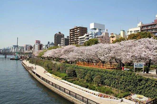 sumida park — taito city